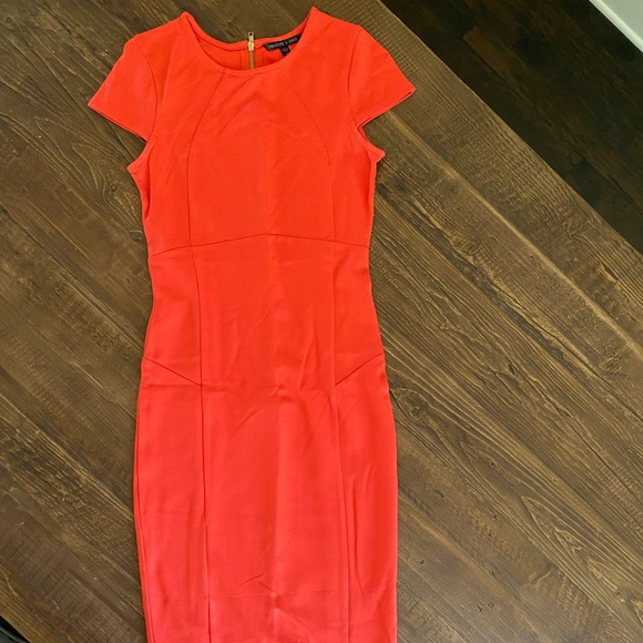 Felicity & Coco Pencil Dress - Picture 7 of 8